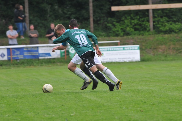 的竞争力 的竞争力