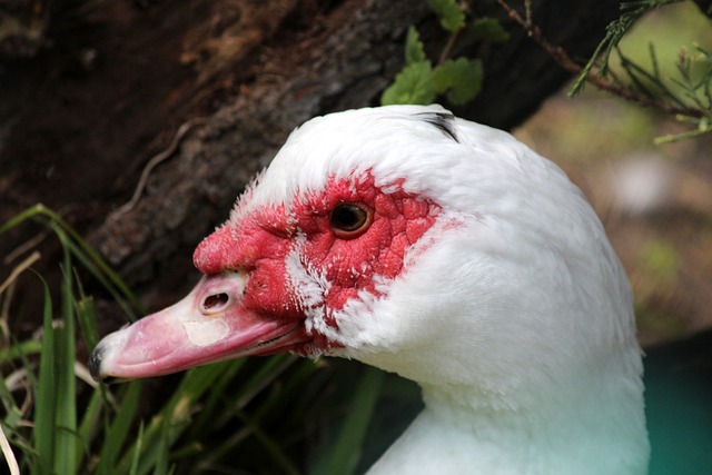 一步加强 一步加强